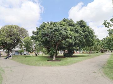place photo 31