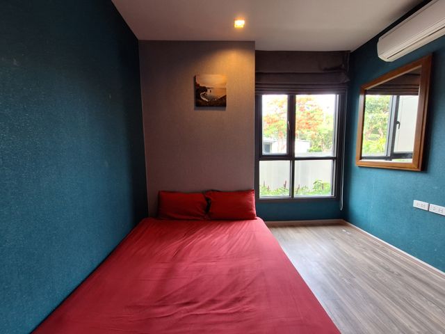 place photo 38