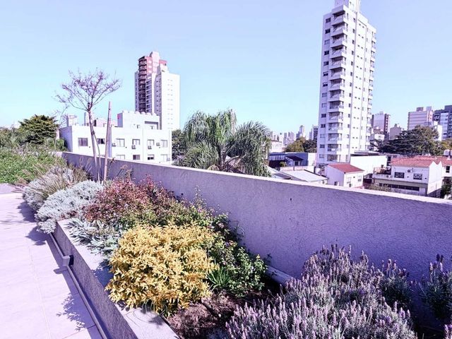 place photo 35