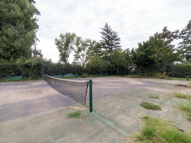 place photo 42