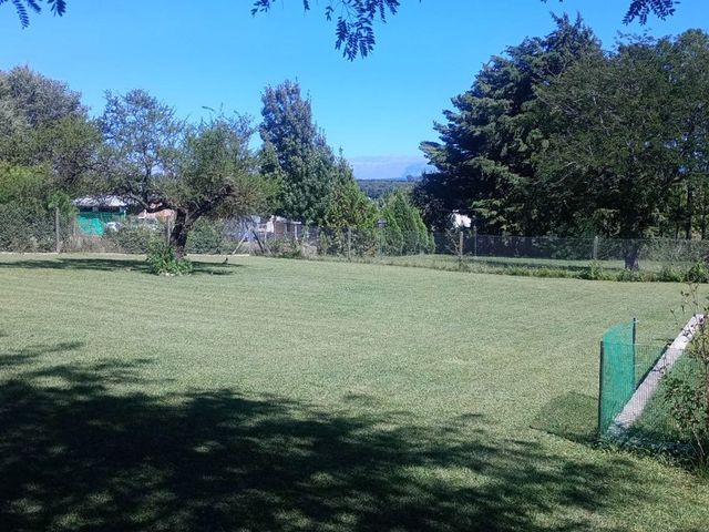place photo 32