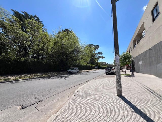 place photo 16