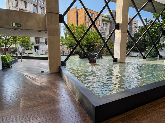 place photo 44