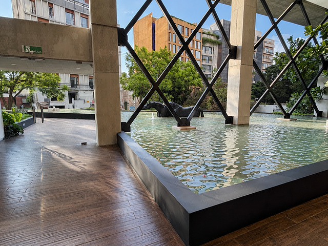 place photo 44