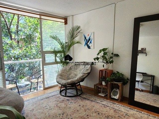 place photo 45