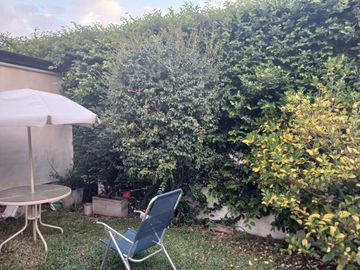 place photo 19