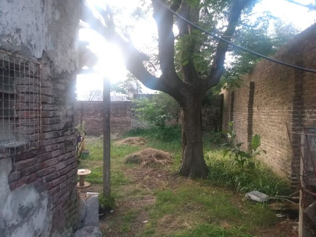 place photo 14