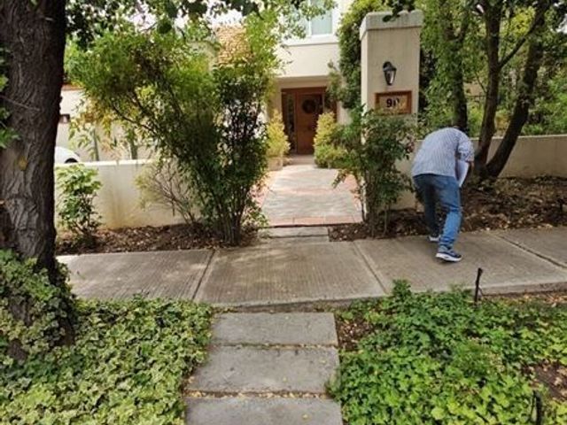 place photo 32