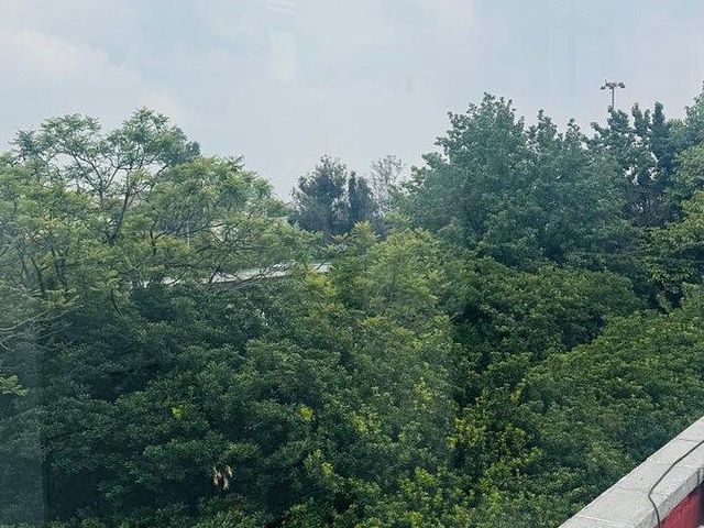 place photo 44