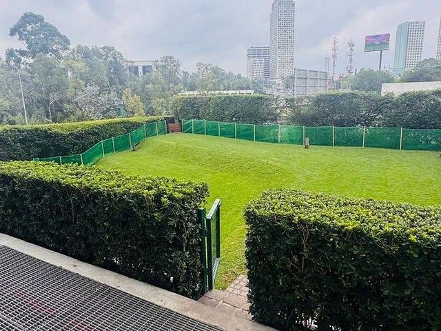 place photo 42