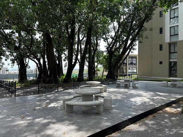 place photo 34