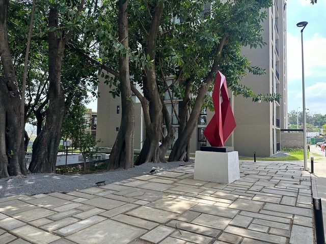 place photo 35
