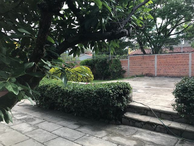 place photo 45