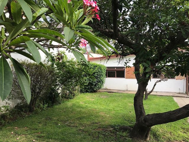 place photo 44