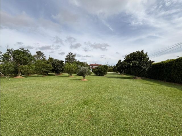 place photo 87