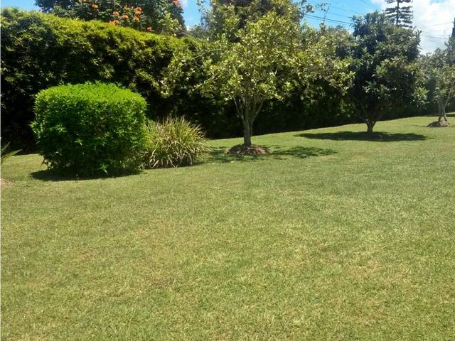 place photo 84