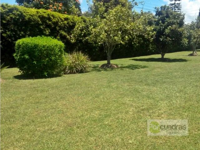 place photo 86