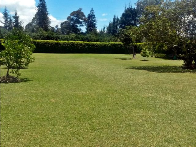 place photo 82