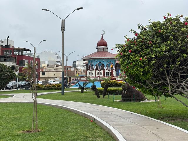 place photo 12