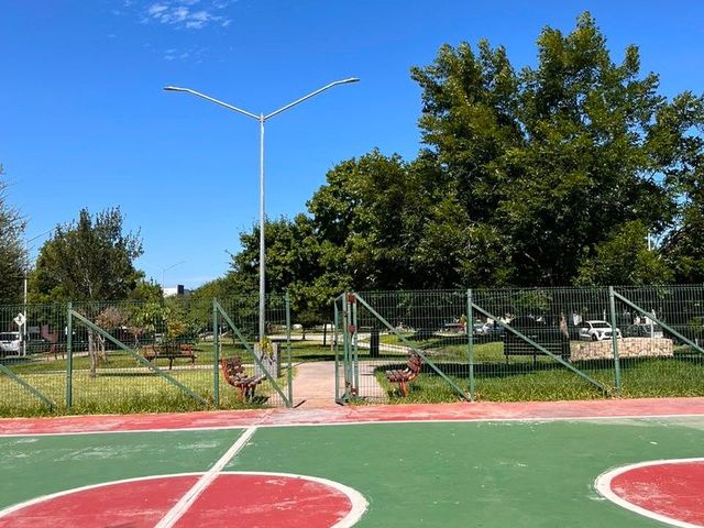 place photo 22