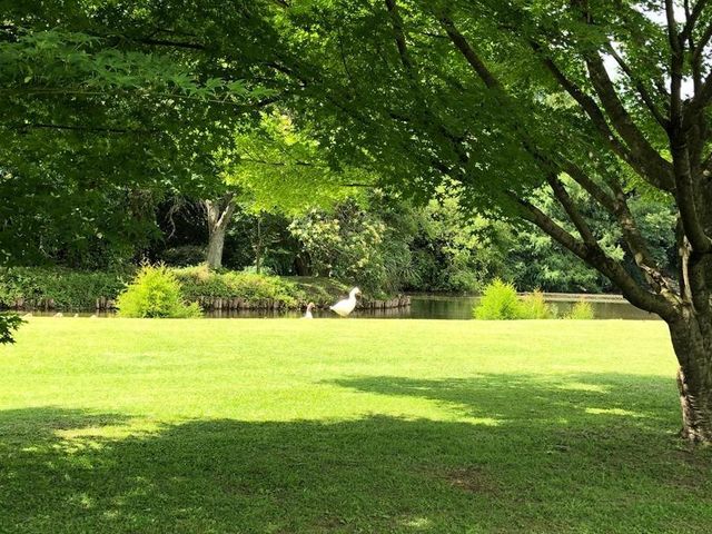 place photo 28