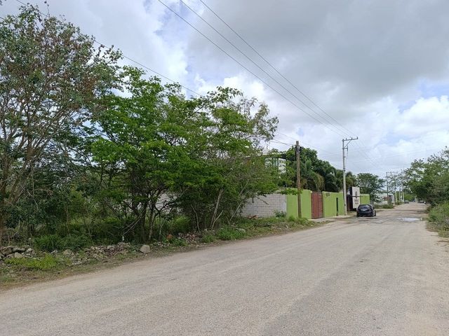 place photo 4