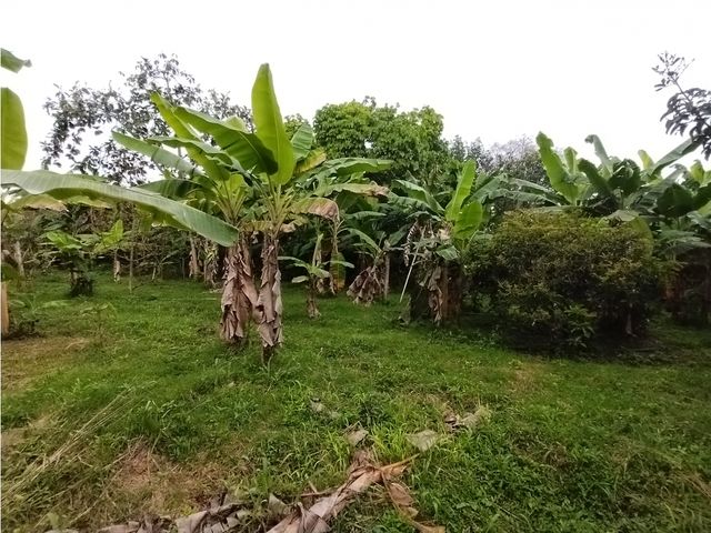place photo 59