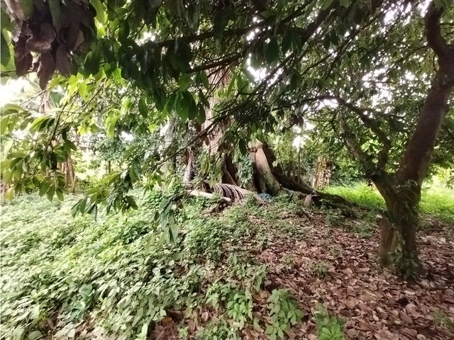 place photo 29