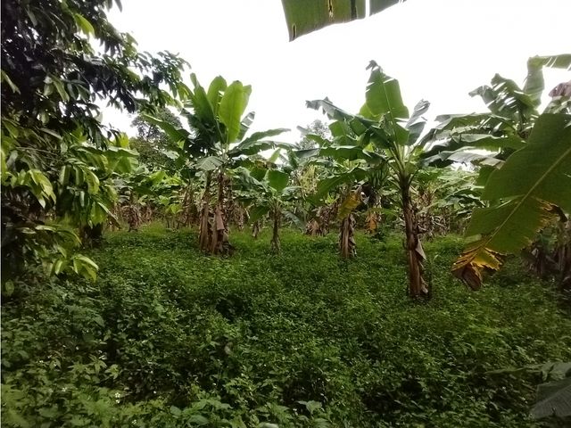 place photo 46