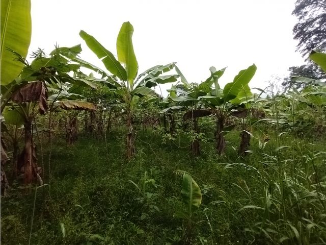 place photo 53