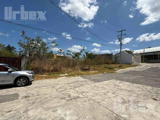 place photo 3