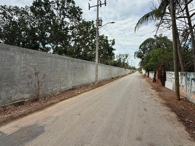 place photo 10