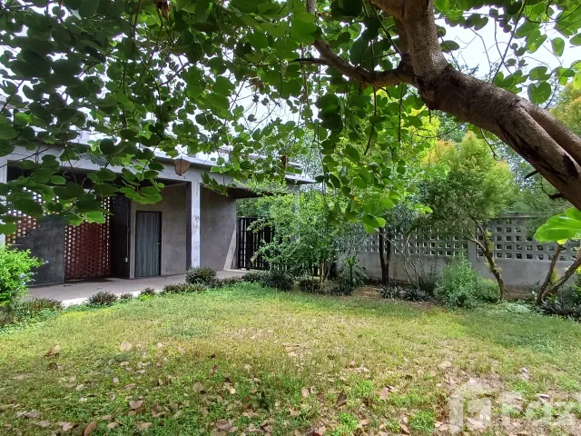 place photo 46