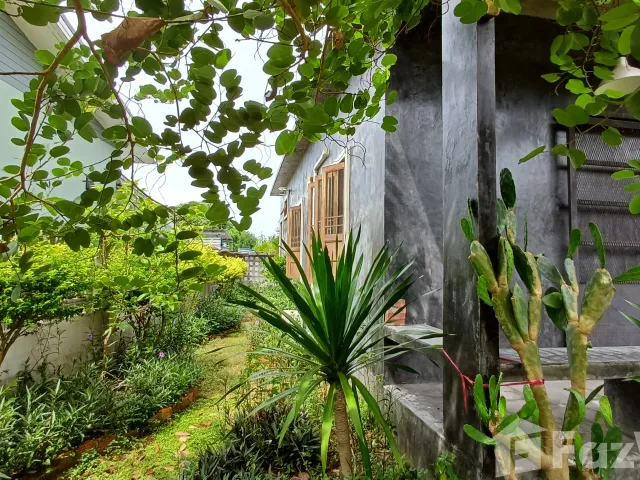 place photo 45