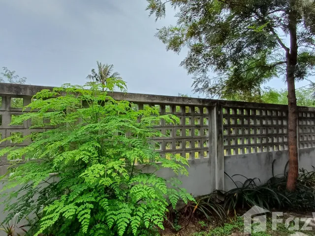 place photo 47