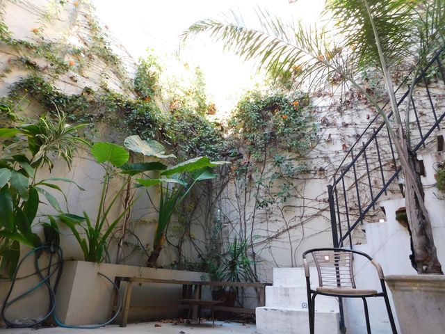 place photo 44