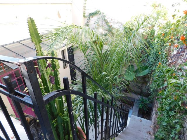 place photo 48
