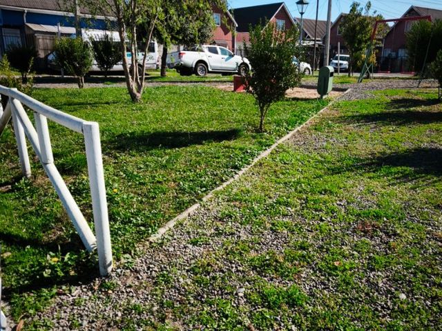 place photo 28