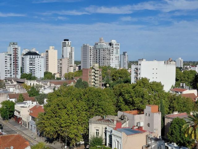 place photo 37