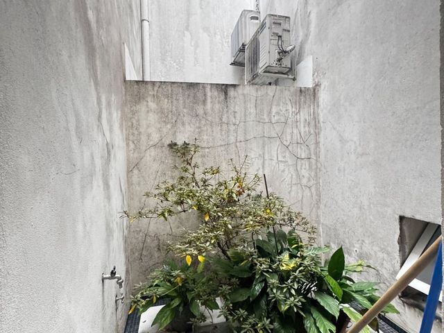 place photo 51