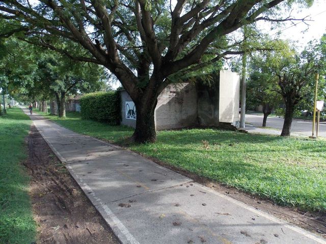place photo 42
