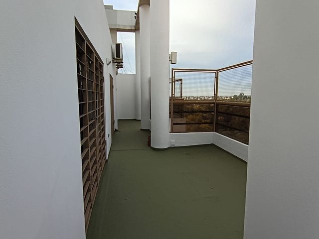 place photo 40