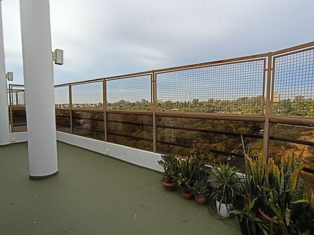 place photo 39