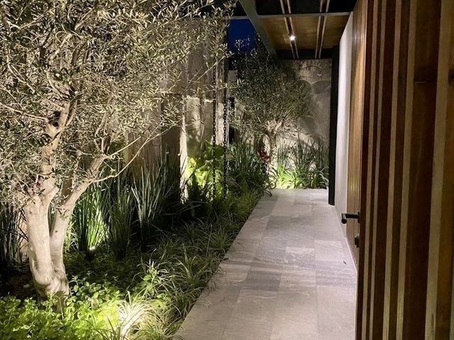 place photo 44