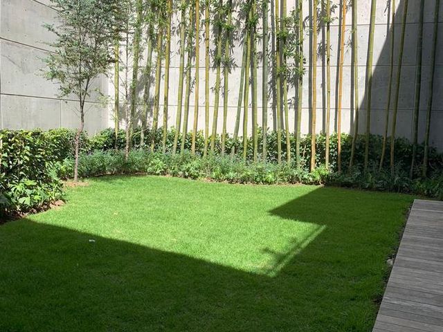 place photo 56