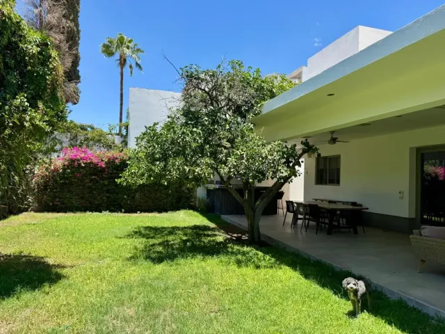place photo 21