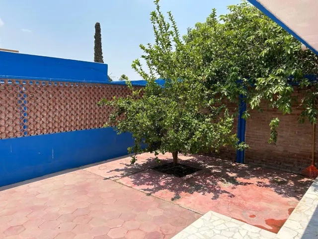 place photo 16