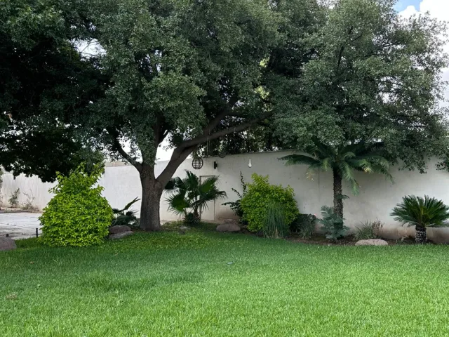 place photo 25