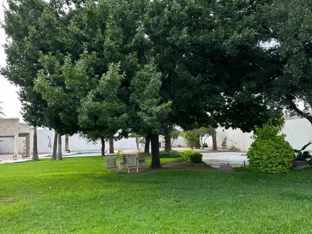 place photo 27