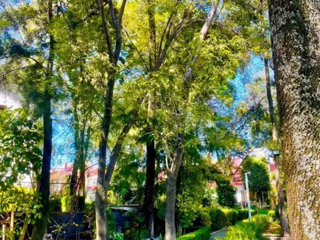 place photo 22